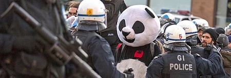 pandapolice.jpg