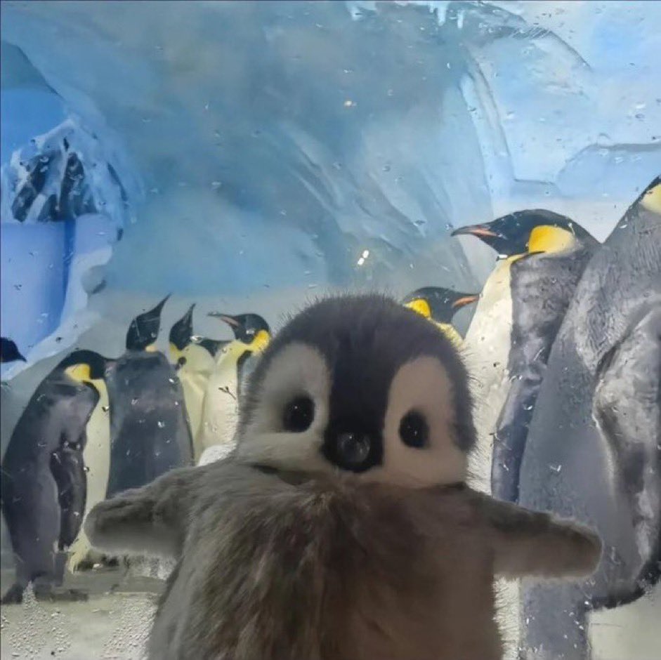 penguinbaby2.jpg