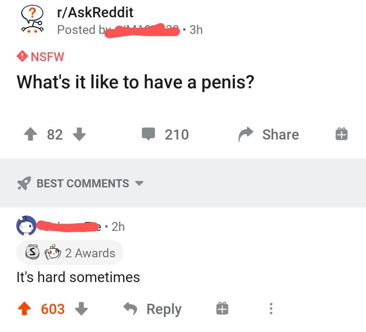 penis.jpg