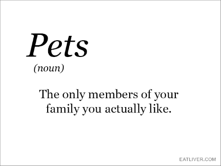 pets.png