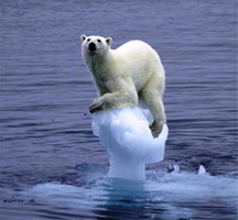 polarbearagw.jpg