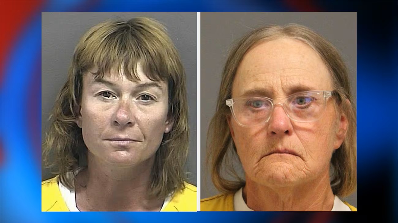 postofficeelectionfraudsters.jpg