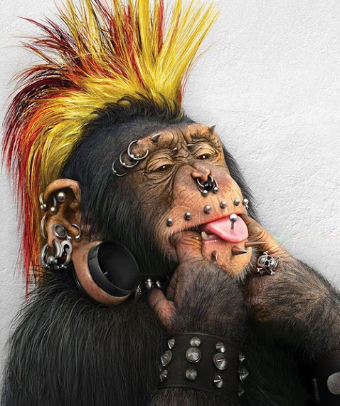 punk-monkey.jpg