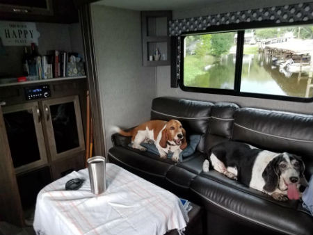 pupsinthecamper.jpg