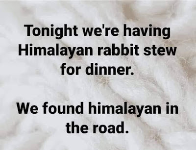 rabbitstew.jpg