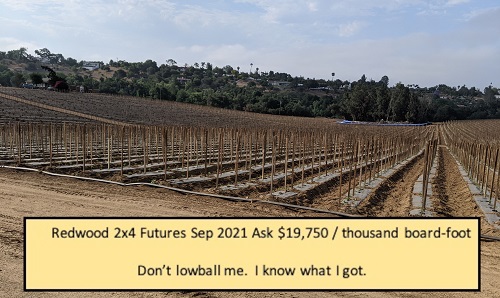 redwood_futures.jpg