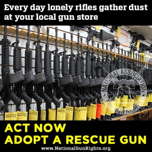 rescuegun.jpg