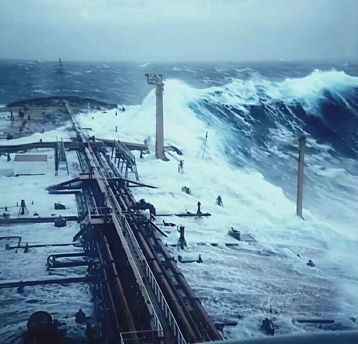 roguewave.jpg