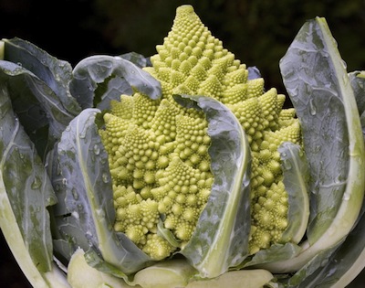 romanesca-cauliflower.jpg