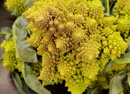 romanesco.jpg