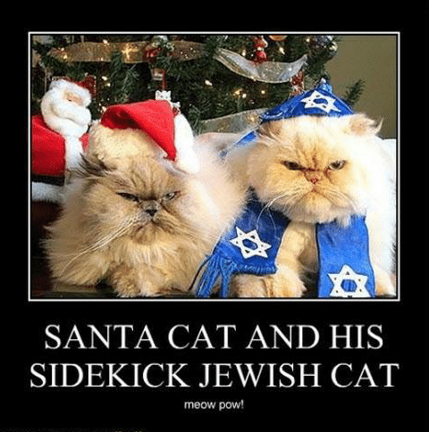 santa-cat-and-his-sidekick-jewish-cat-meow-pow-ioanhaschee2-11433026.png