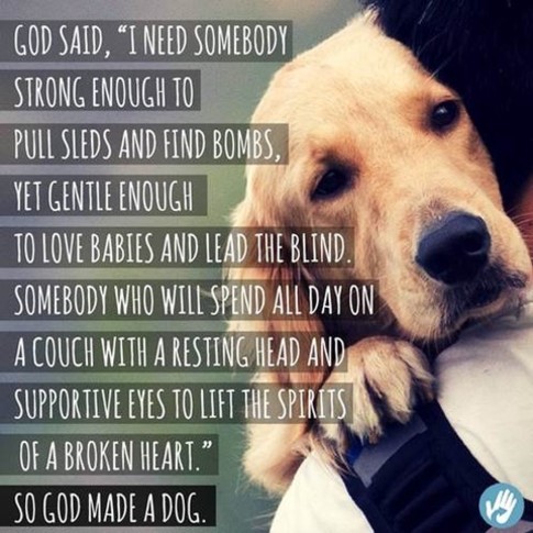 So God made a dog