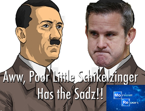 schickZing.jpg