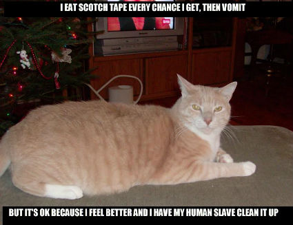 scotchtapekitty.jpg