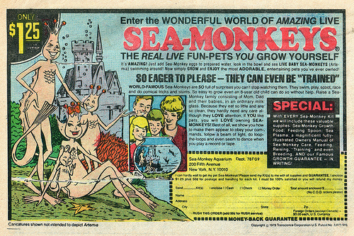 seamonkies.jpg