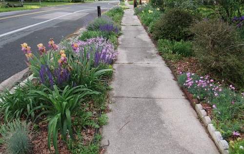 sidewalk2019badgerwx.jpg