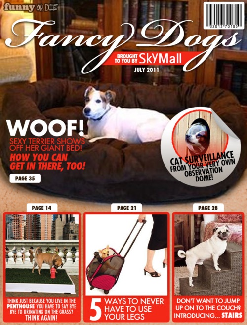 skymall-dogs-20110708-164308.jpg