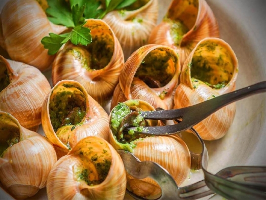 snails26.jpg
