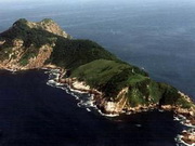 snake-island-ilha-de-queimada-grande.jpg