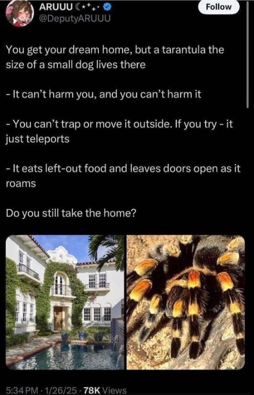 spiderbro.jpg