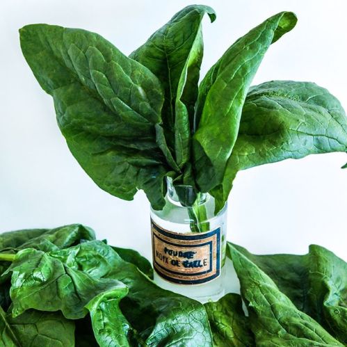 spinach-monstreux-de-viroflay-lss-dsc_2933.jpg