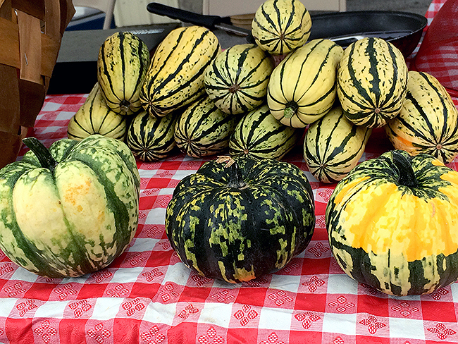 squash-delicata-carnival-sized.jpg