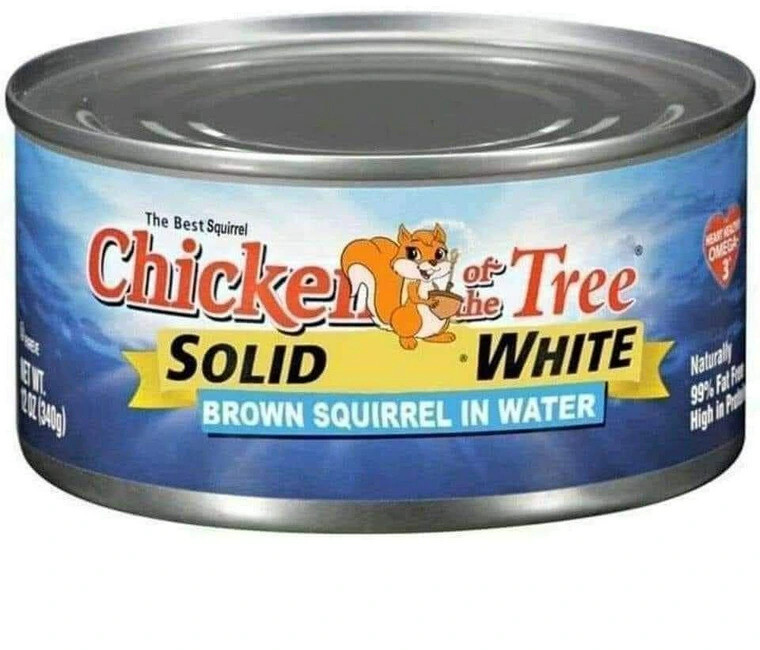 squirrel.jpg