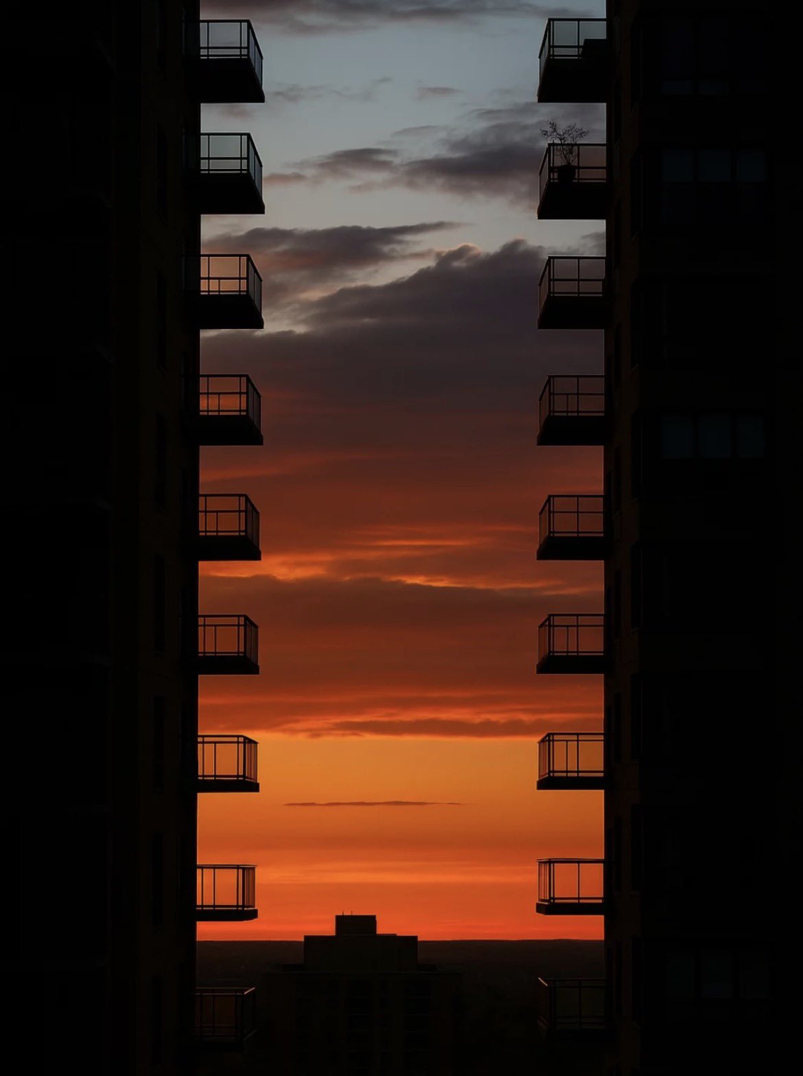 sundownbenwolf.jpg