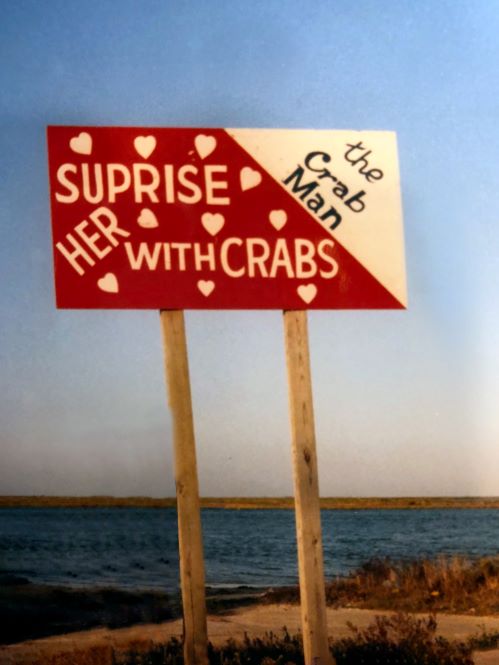 surprisecrabs.jpg