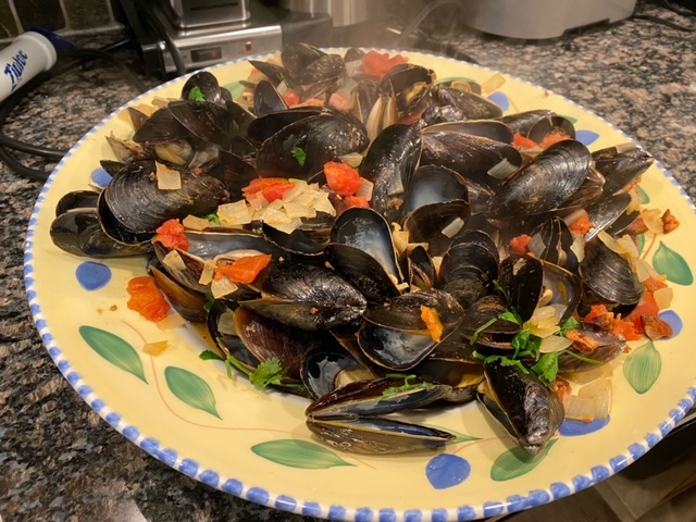 swillingmussels.jpeg