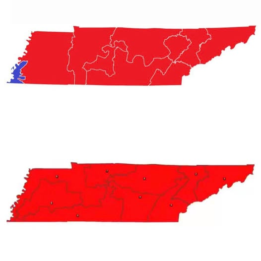 tennesseegerrymander.png