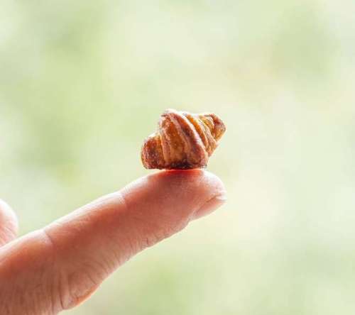 tiny-croissant.jpg