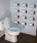 toilet-paper-toilet.jpg