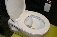 toilet_nomix.JPG