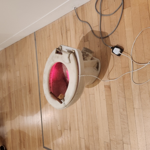 toiletart1.jpg