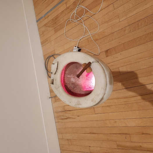 toiletart2.jpg