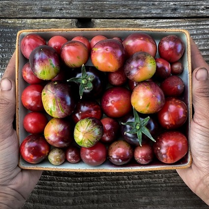 tomato-black-straw.jpg