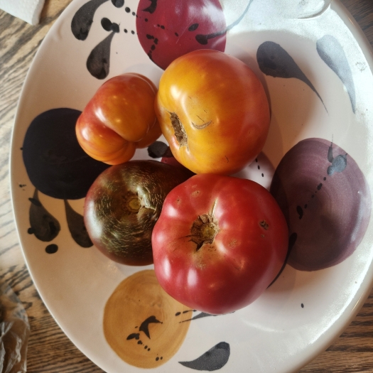 tomato2026.jpg