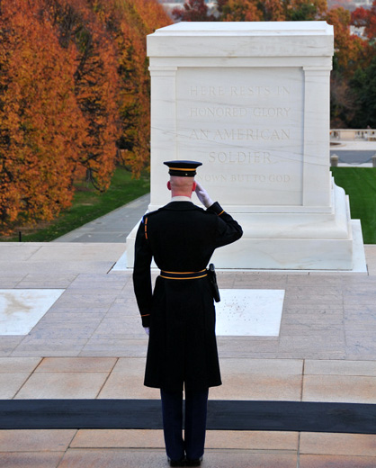 tomb-unknown-soldier-pictureafda.jpg