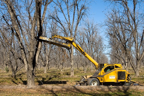 tractor3.jpg