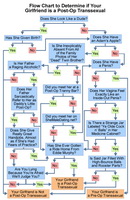 tranny-flow-chart-draft-2.jpg