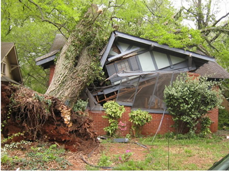 tree-fell-on-house.jpg