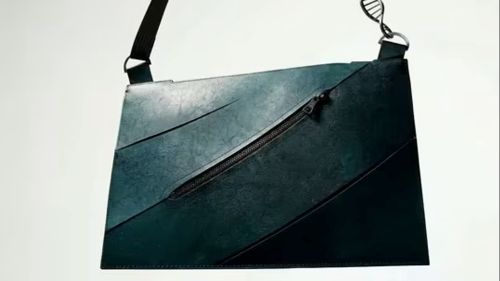 trexhandbag.jpg