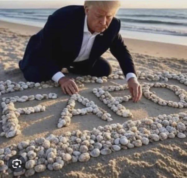 trumpseashells.jpg