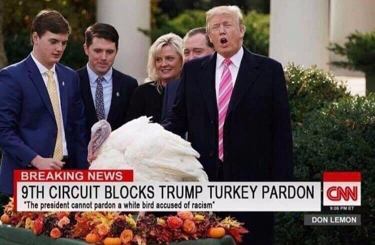 trumpturkeypardon