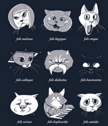 types-of-internet-cats-18803-1296507386-41.jpg