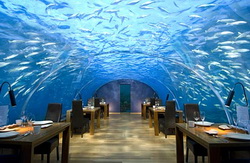 undersea-restaurant-1.jpg