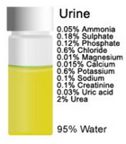 urine2.jpg