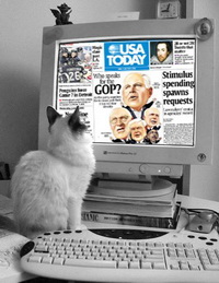 usa_today_cat.jpg