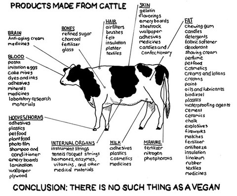 vegans-are-living-a-lie-17633-1288104532-4.jpg